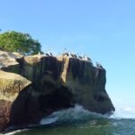 AVISTAMIENTO DE AVES MARINAS