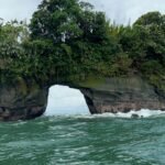 WhatsApp Image 2026-01-08 at 4.21.14 PM (1)