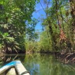 WhatsApp Image 2026-01-08 at 4.21.14 PM (3)